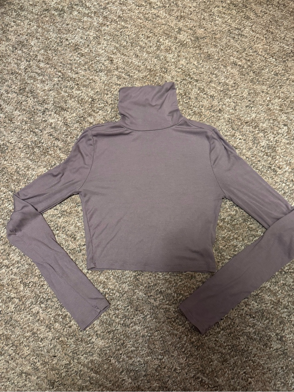 Sunday Best from Aritzia Mauve Cropped Turtleneck ribbed Long Sleeve Top